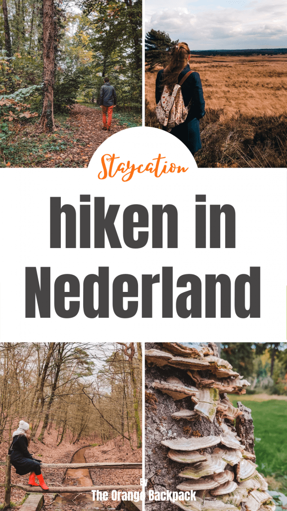 de handigste websites en apps voor hiken in Nederland met Protest outdoor wear
