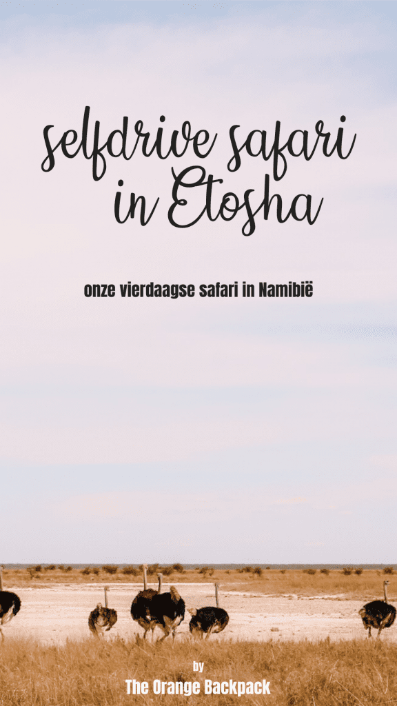 selfdrive safari Etosha National Park Namibie | The Orange Backpack