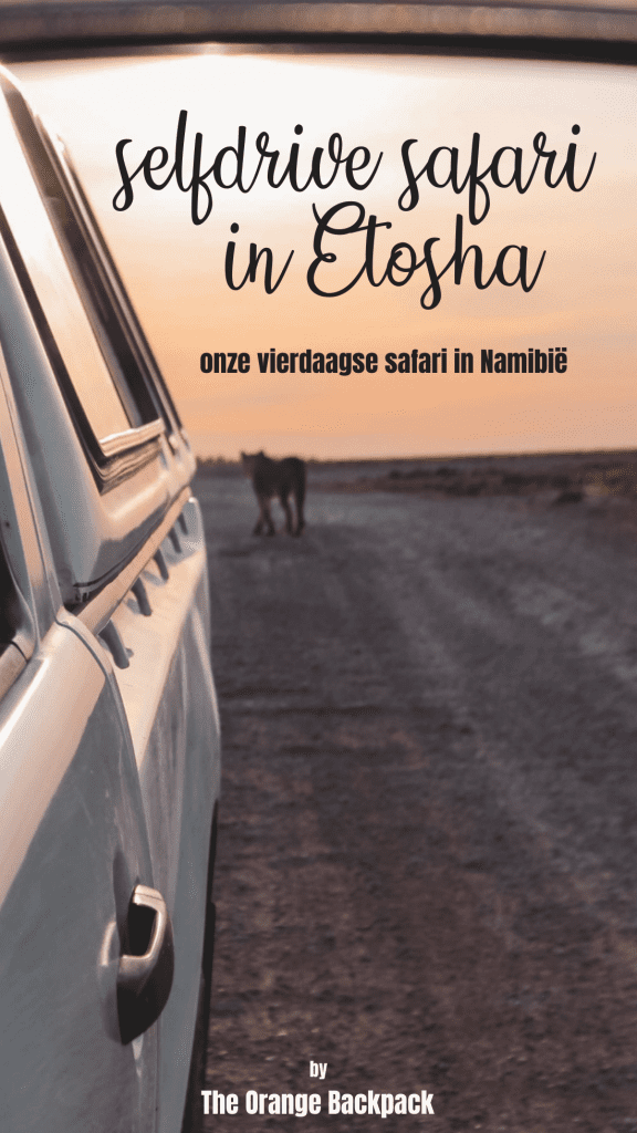 selfdrive safari Etosha National Park Namibie | The Orange Backpack
