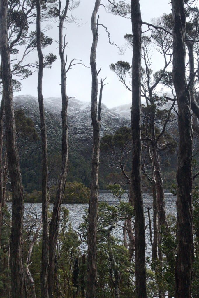 Best place for 30th Birthday - Tasmania
