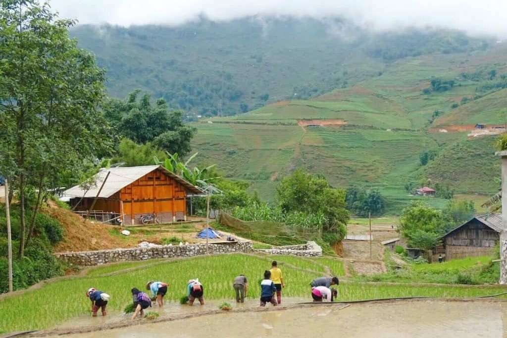 Best place for 30th Birthday - Vietnam 3
