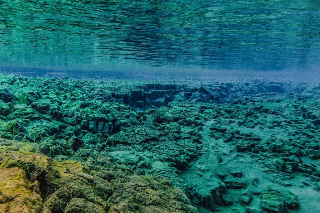 Snorkelen IJsland
