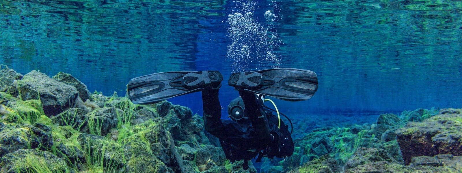 Snorkelen in IJsland: bezoek Silfra in Thingvellir