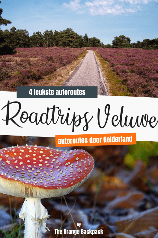 Autoroutes Veluwe Gelderland | roadtrip Nederland