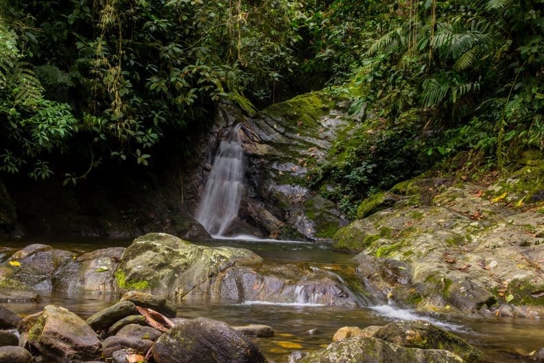 Lost City Trek Colombia | Ciudad Perdida Hike