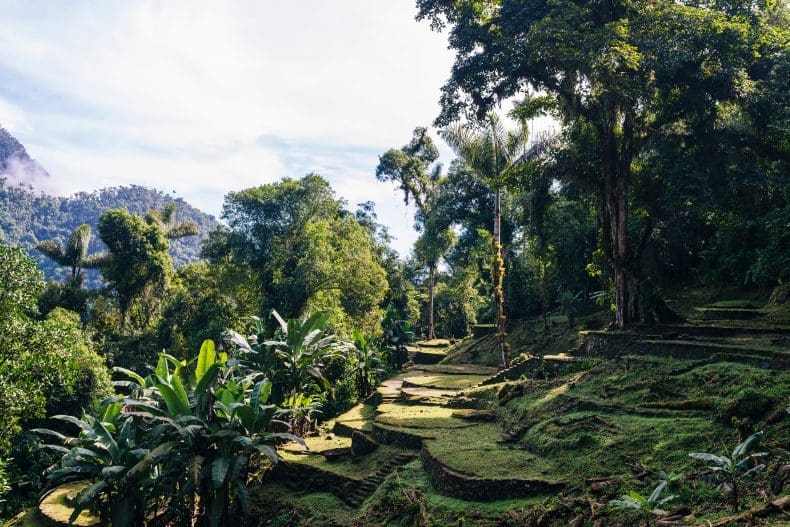 Lost City Trek Colombia | Ciudad Perdida Hike