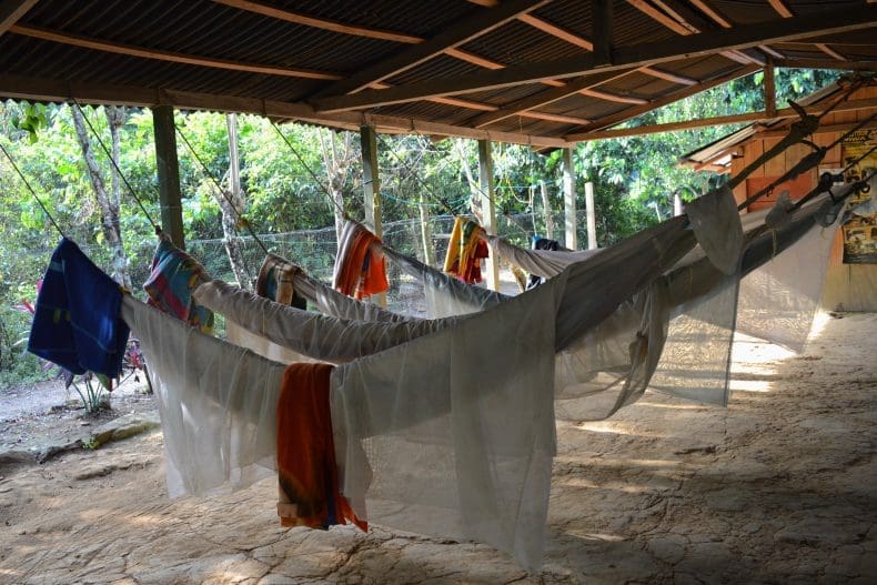 Lost City Trek Colombia | Ciudad Perdida Hike
