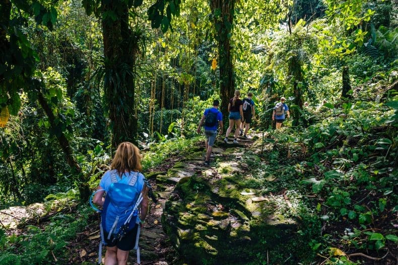 Lost City Trek Colombia | Ciudad Perdida Hike