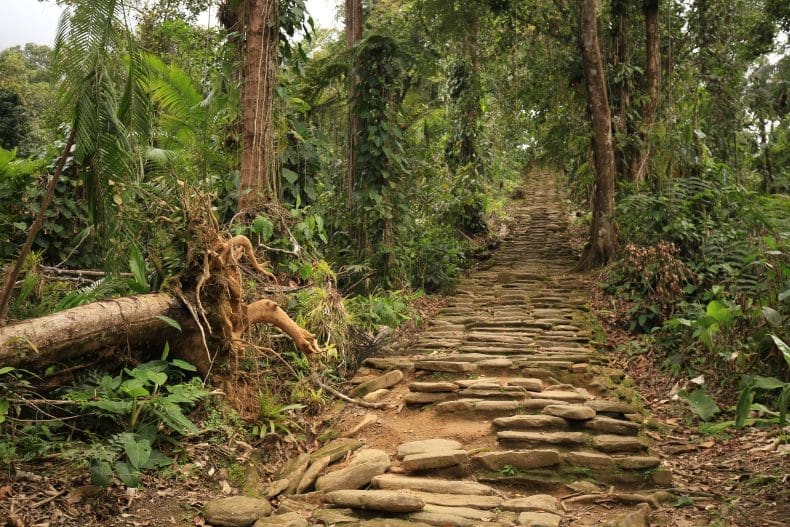 Lost City Trek Colombia | Ciudad Perdida Hike