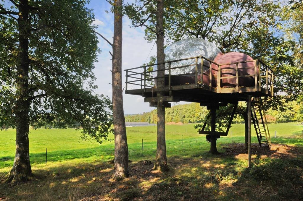 Sphair Perchée boomhut Belgie