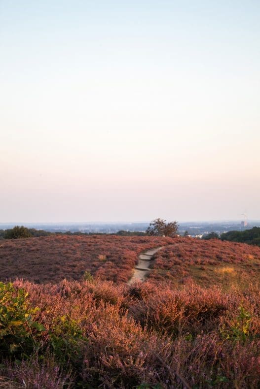 Veluwe autoroutes