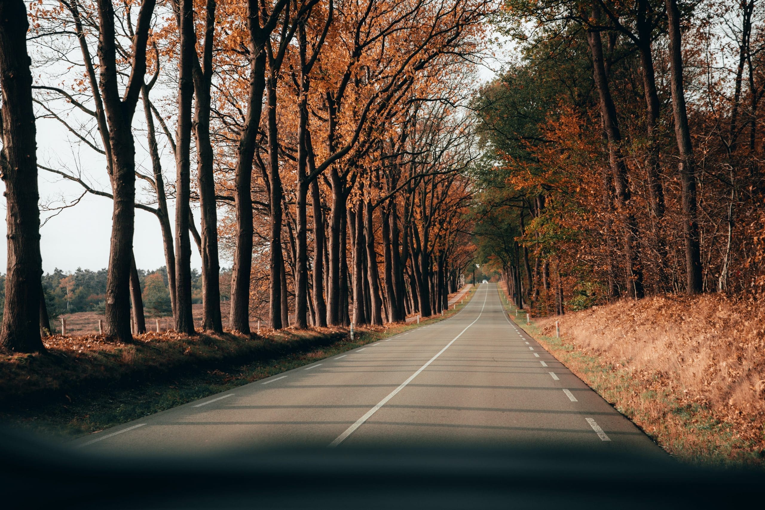 Roadtrip Netherlands