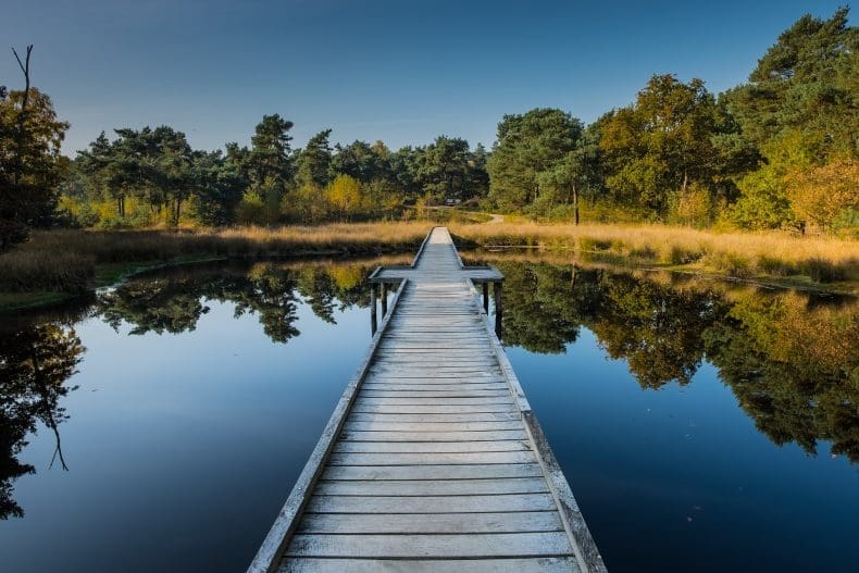 Bijzonder Plekje Limburg - Nationaal Park De Maasduinen
