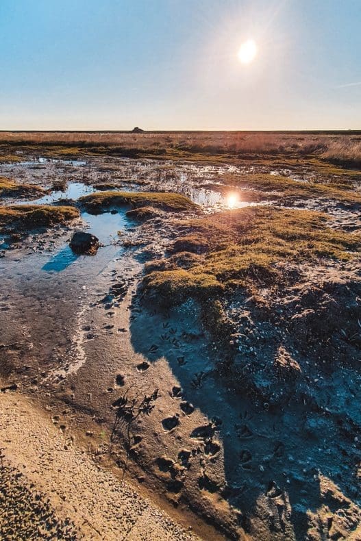 Bijzondere Trekkershutten Friesland - Trek In It Dreamlan