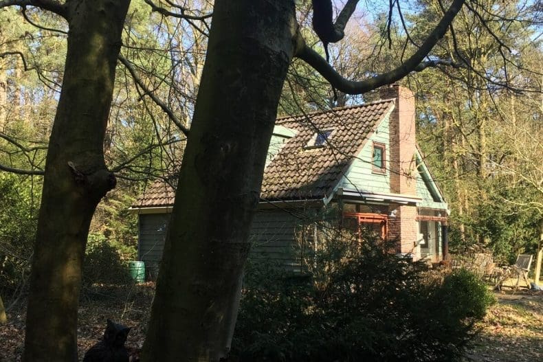 Retro mintgroen boshuisje in Epse