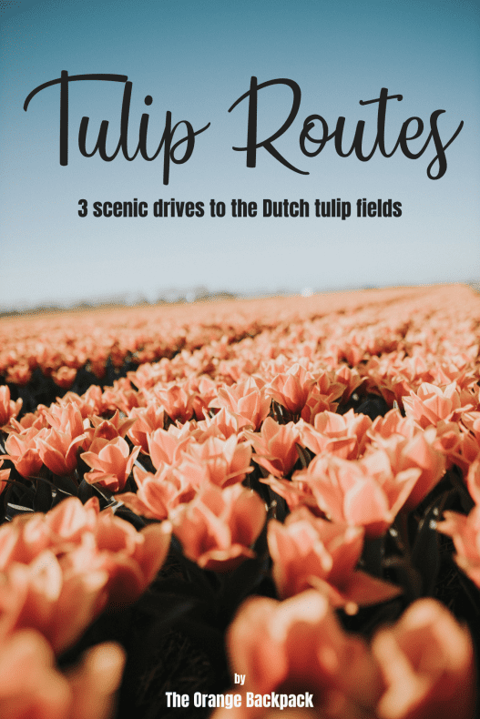 Tulip Route Netherlands | Tulip Fields Amsterdam