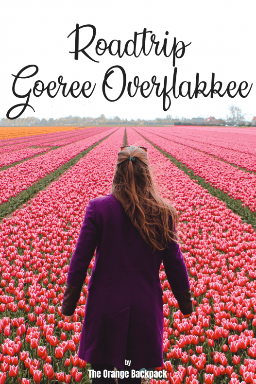 Autoroute Goeree Overflakkee Tulpenroute Zuid Holland