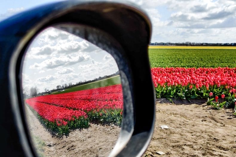 Tulpenroute Nederland