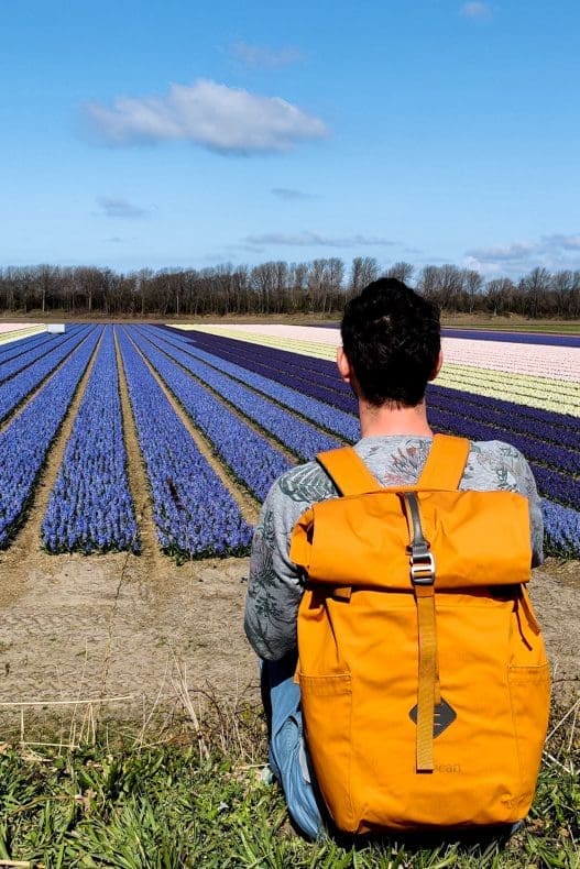 Marsden Daypack from Millican