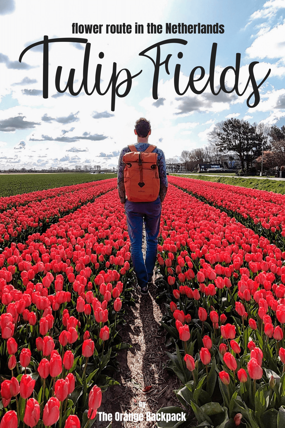 Tulip Fields Netherlands | Flower Route Amsterdam