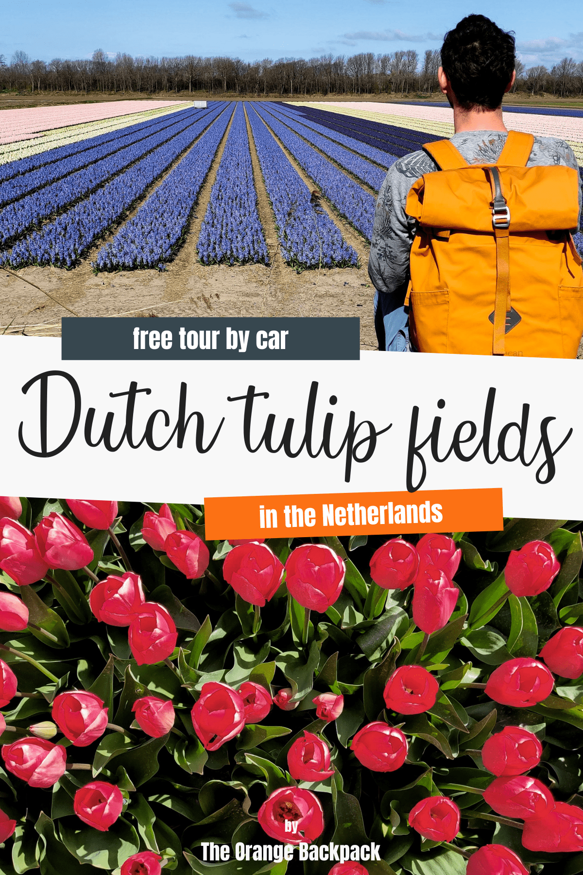 Tulip Fields Netherlands | Flower Route Amsterdam