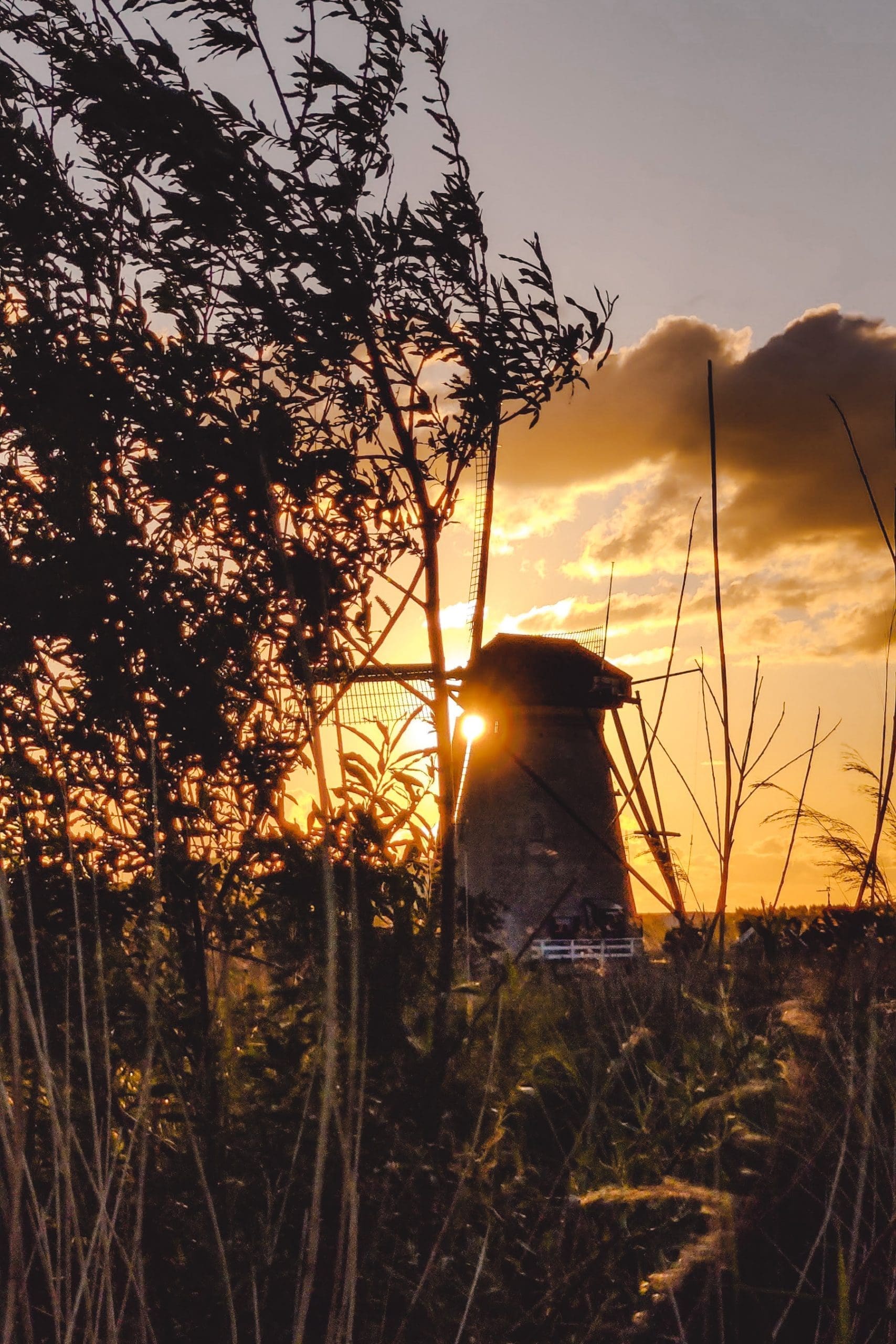 Kinderdijk Of Zaanse Schans: Waar Kan Je Het Beste Windmolens Bezoeken ...