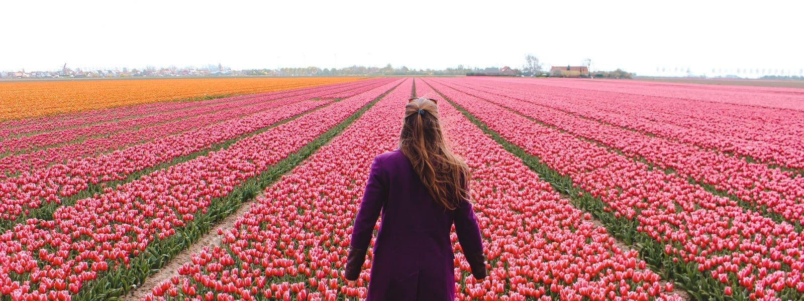 Travel Guide The Netherlands