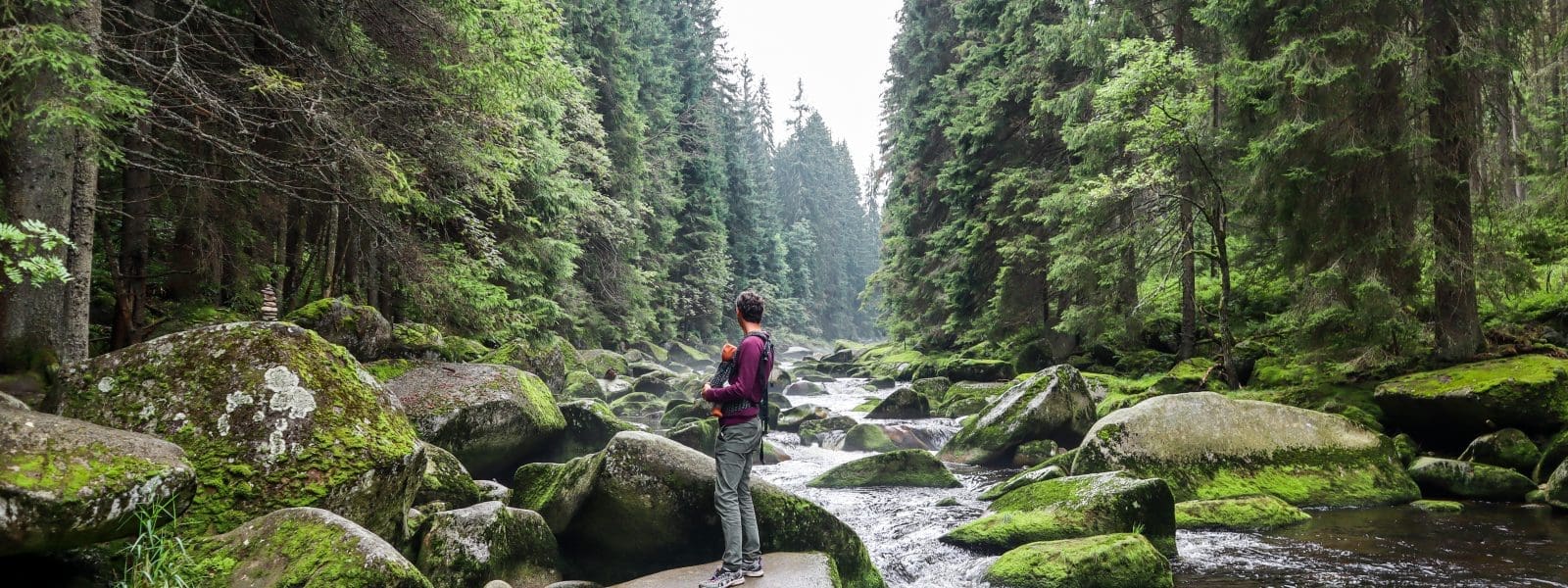 Bezoek Šumava National Park, het grootste park van Tsjechië