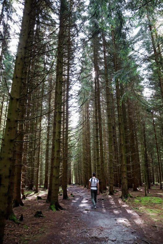 Hiking Marienbad Czech Republic