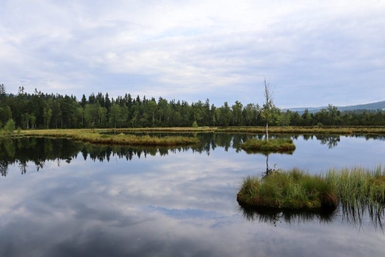 Sumava National Park Tsjechie | Czech Republic