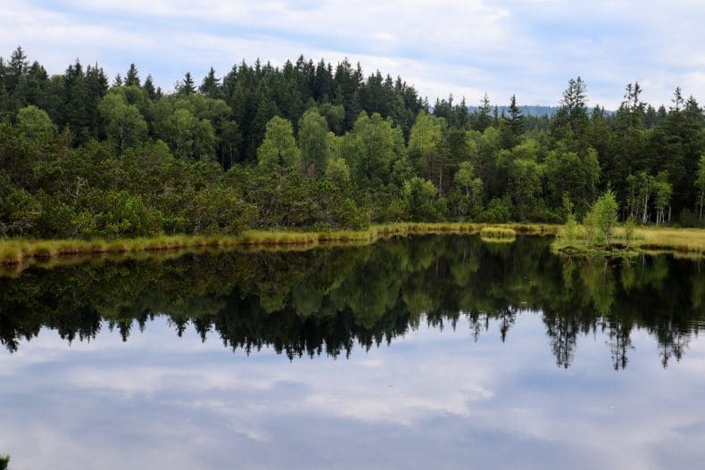 Sumava National Park Tsjechie | Czech Republic