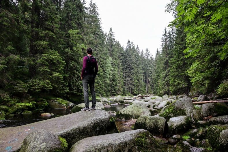 Sumava National Park Tsjechie | Czech Republic
