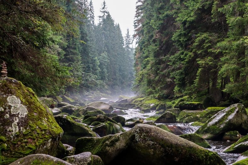 Sumava National Park Tsjechie | Czech Republic
