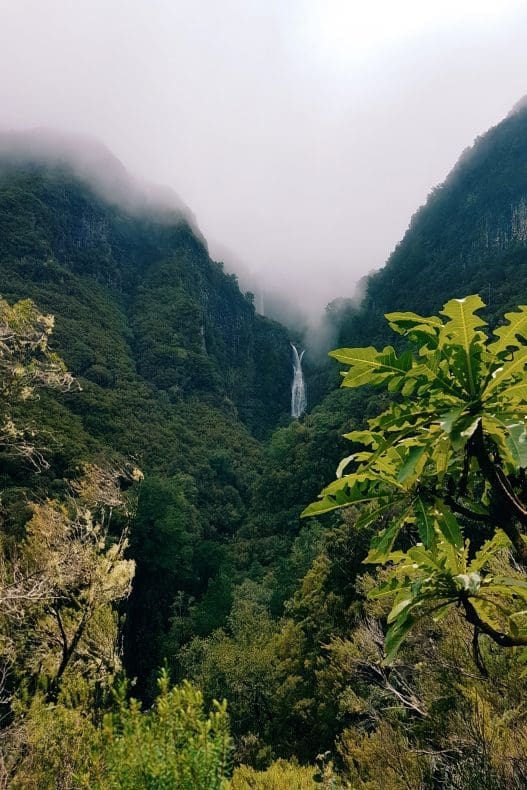 Madeira in de winter
