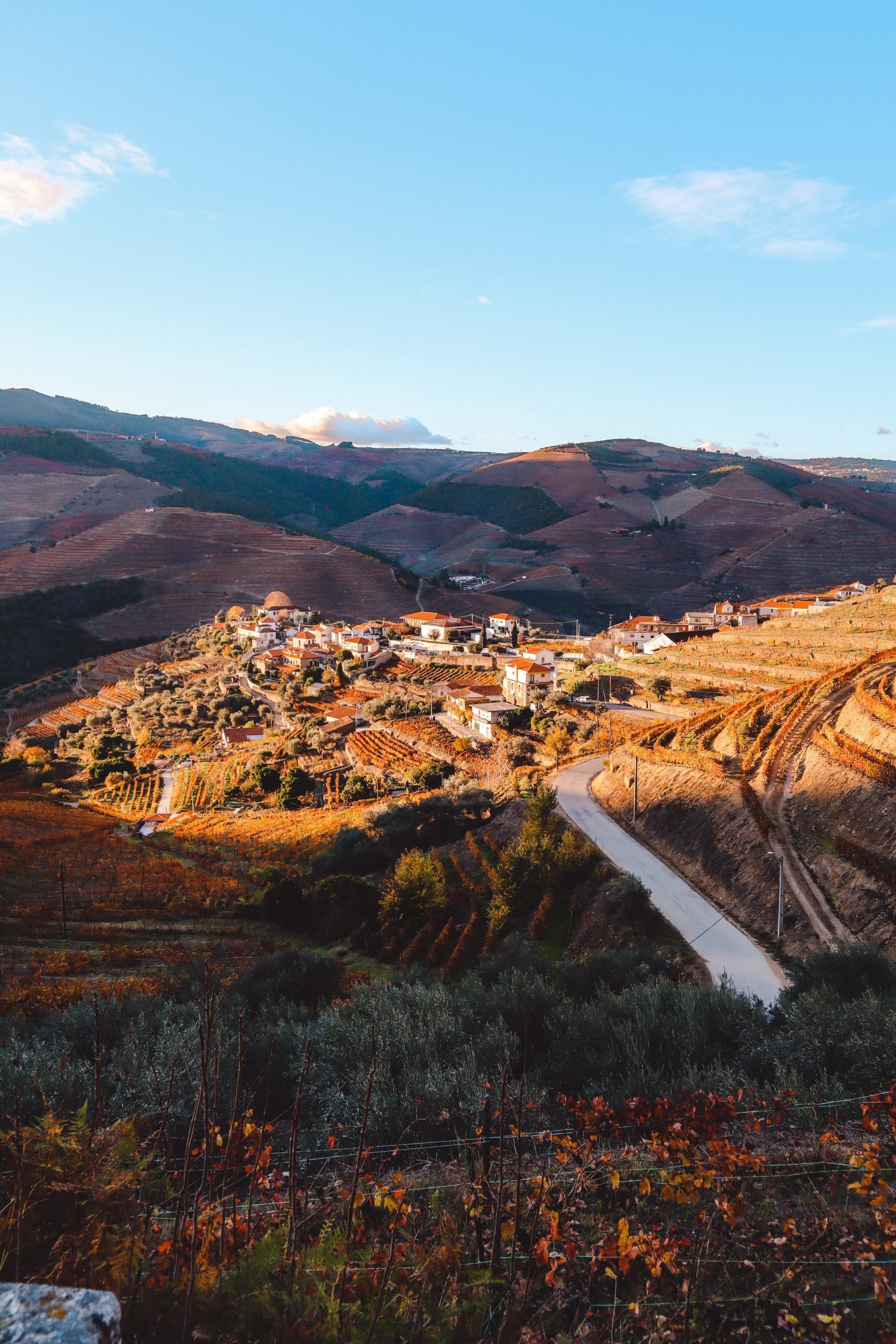Douro Vallei Portugal