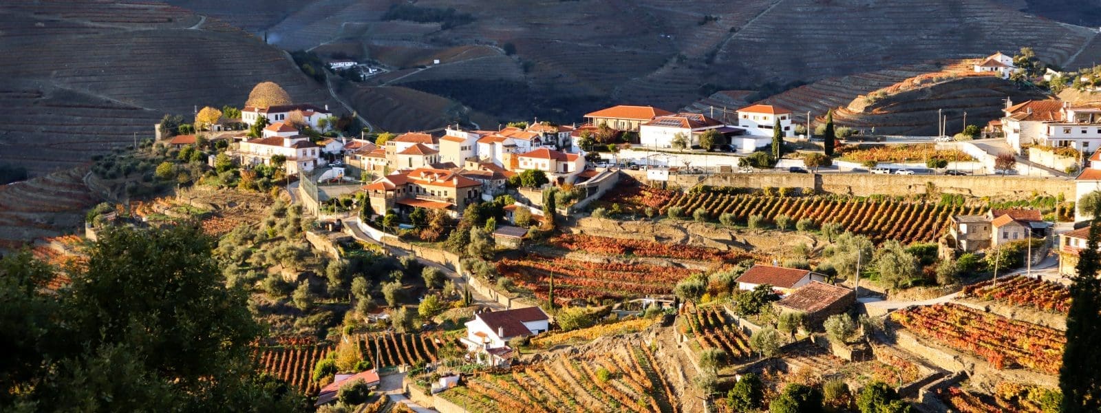 Bezoek de Douro Vallei in Portugal buiten de gebaande paden
