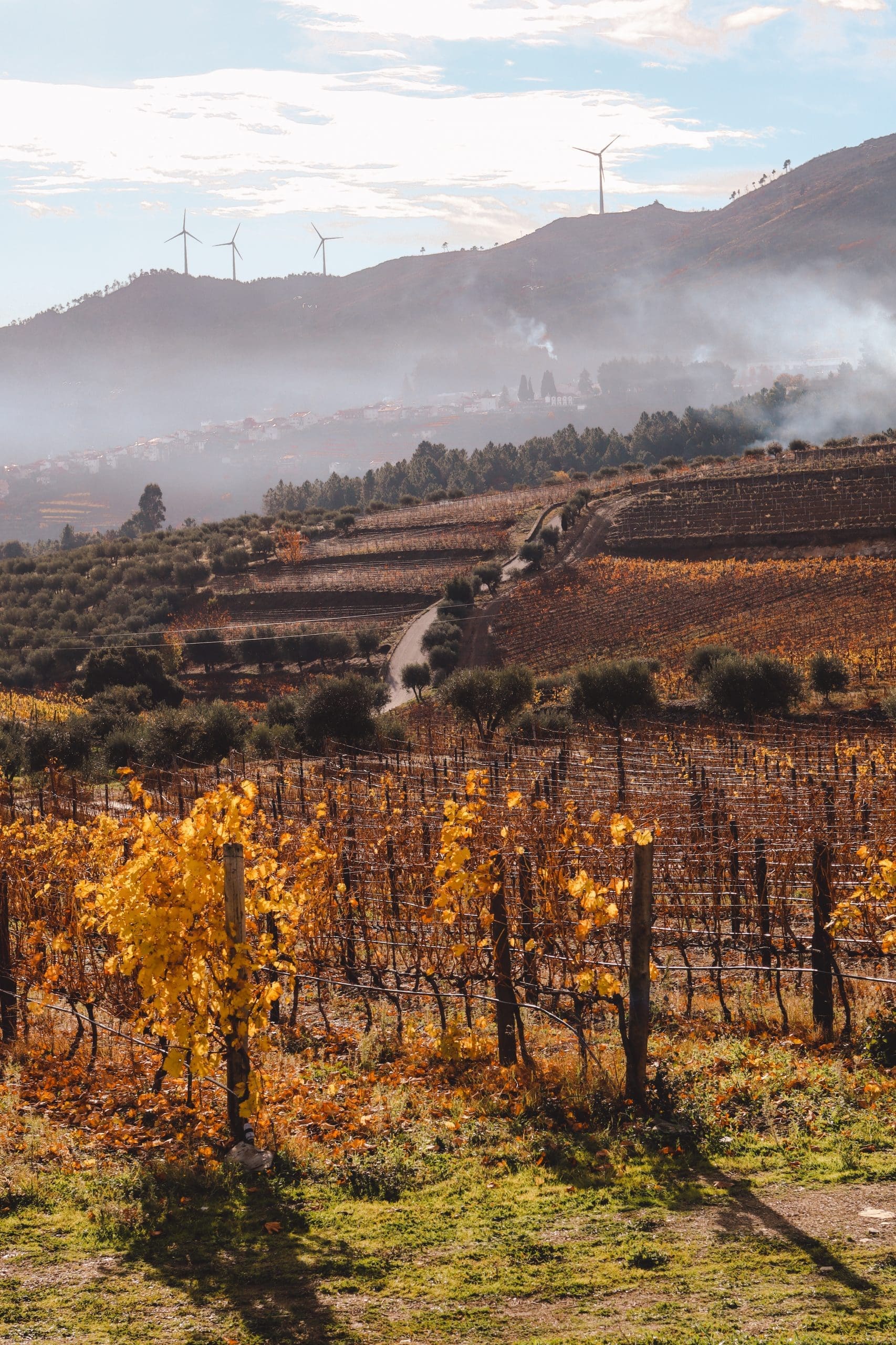 Douro Vallei Portugal