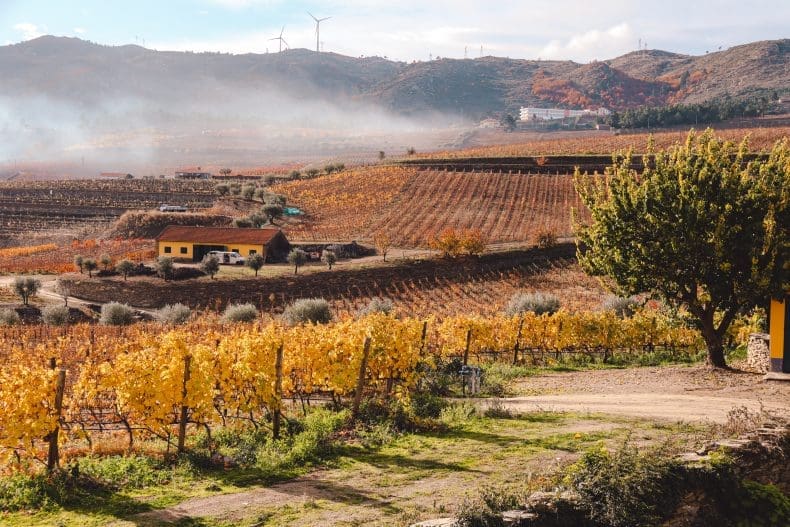 Douro Vallei Portugal