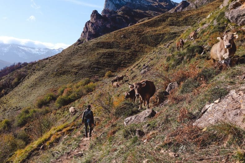 Hike Fuente De Los Picos de Europa