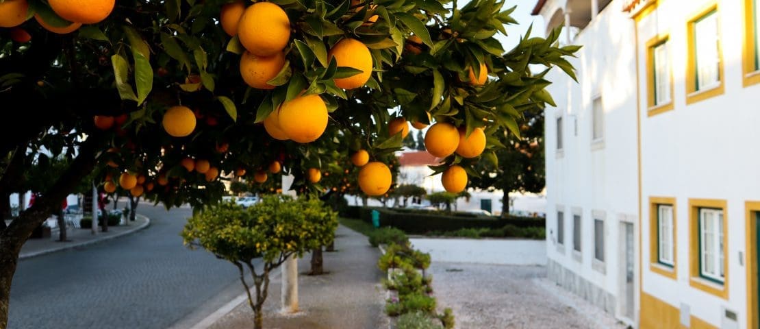 Vila Vicosa Portugal