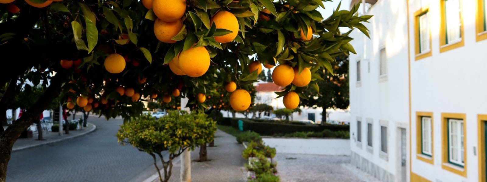 Estremoz en Vila Viçosa, bezoek de marmerdorpen van Portugal