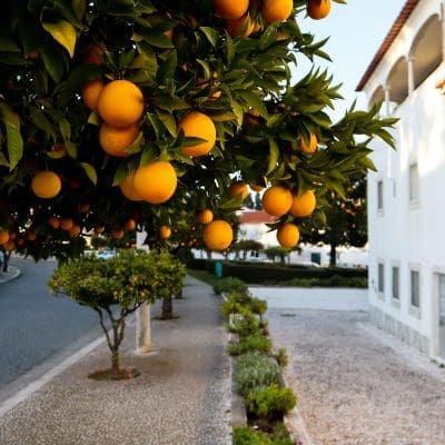 Vila Vicosa Portugal
