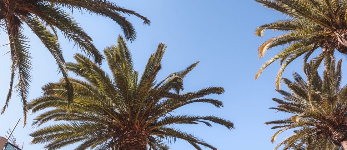 Discover Isla Cristina, Andalusia’s underrated beach town