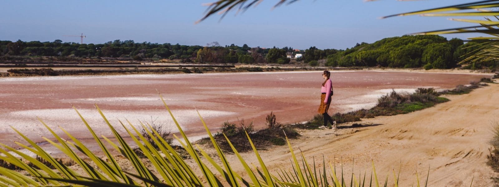 The perfect Lisbon to Algarve road trip