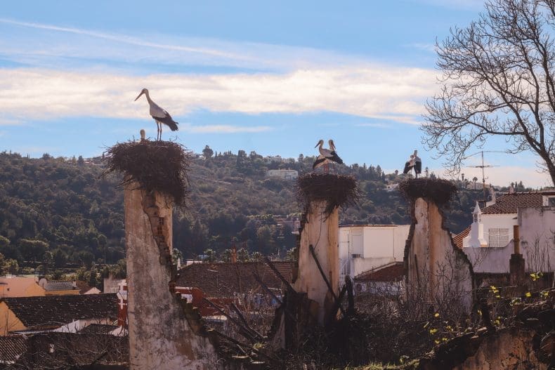 Silves in Portugal