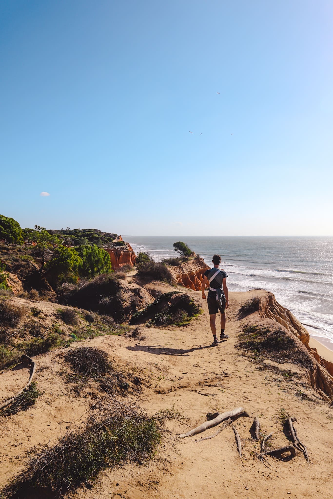 Falésia Beach Trail