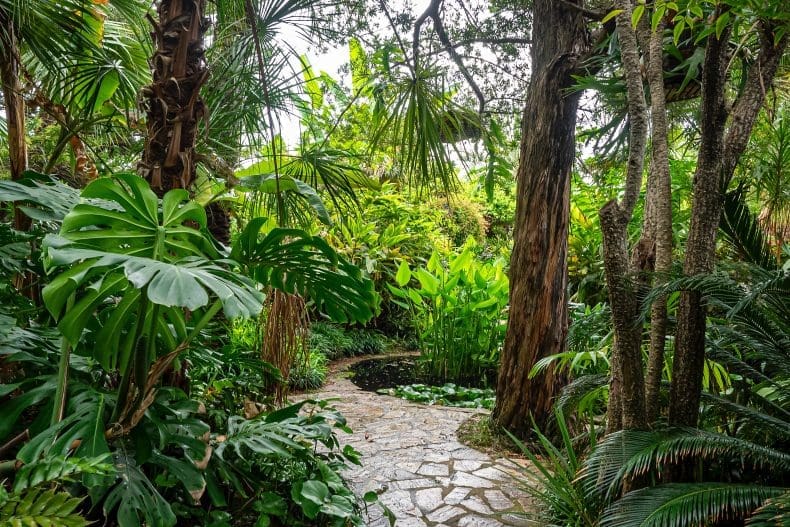 Botanical garden Blanes