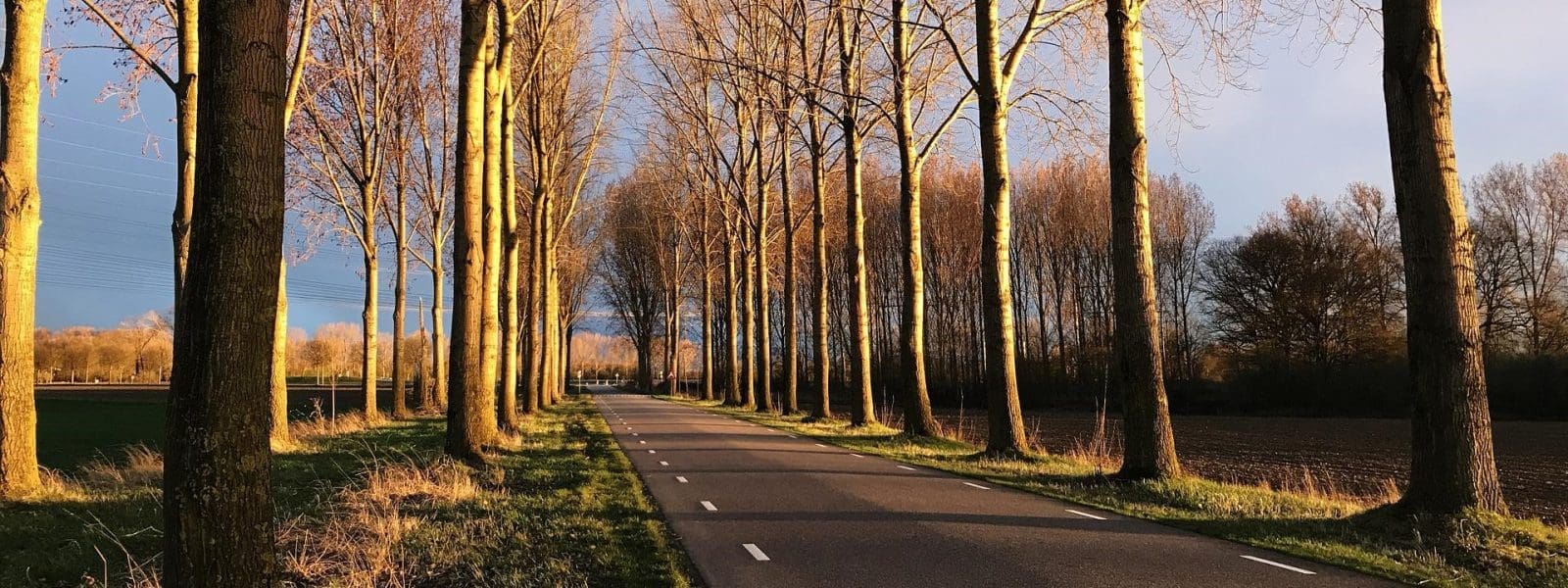 De 3 mooiste autoroutes in Limburg
