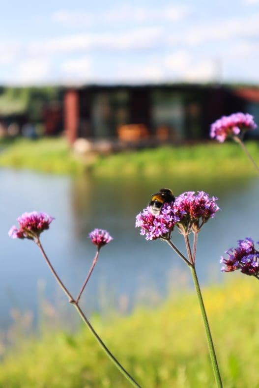 Ecoresort Your Nature Belgium