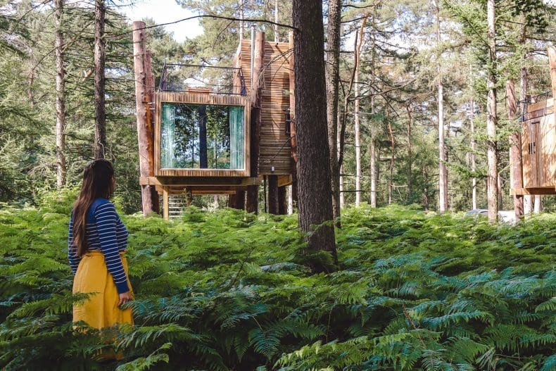 Ecoresort Your Nature The Treeloft
